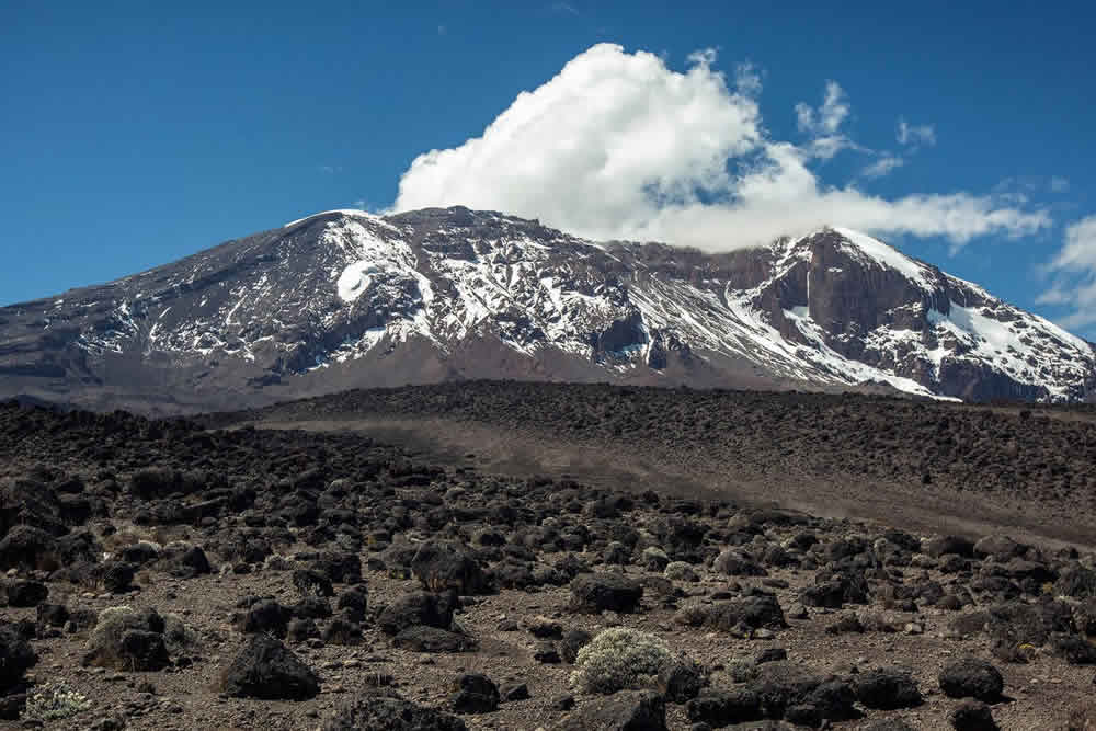 Kilimanjaro Climbing Tours