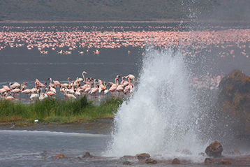 5 Days Mara & Rift Valley Lakes