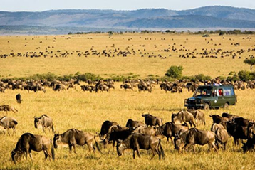  12 Days Kenya Wildlife & Beach Holiday